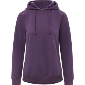 Women's Vintage Fleece Hooded Sweatshirt Thumbnail