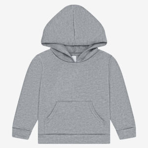 Toddler Sponge Fleece Hooded Sweatshirt Thumbnail